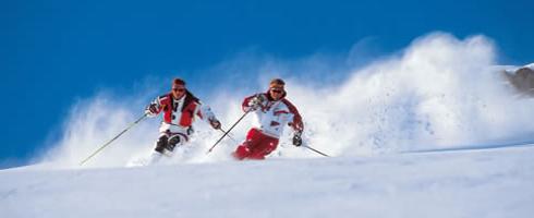 skifahrer 490x200